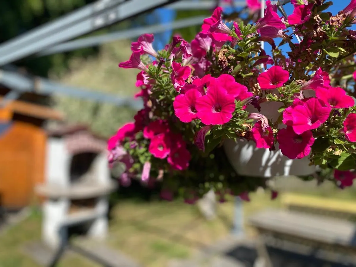 Ferienwohnung Am Franziskanergarten Bad Tölz